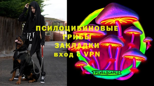 эйфоретик Алзамай