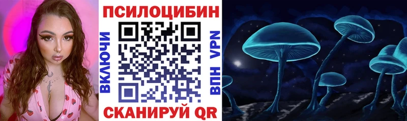 ОМГ ОМГ ссылки  Снежинск  Псилоцибиновые грибы Psilocybe 
